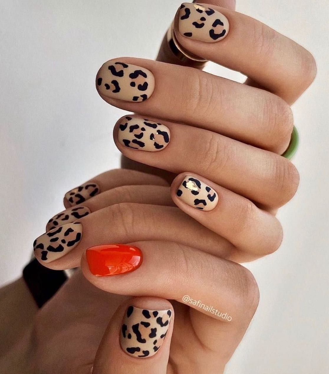 33 Creative Leopard Print Ideas